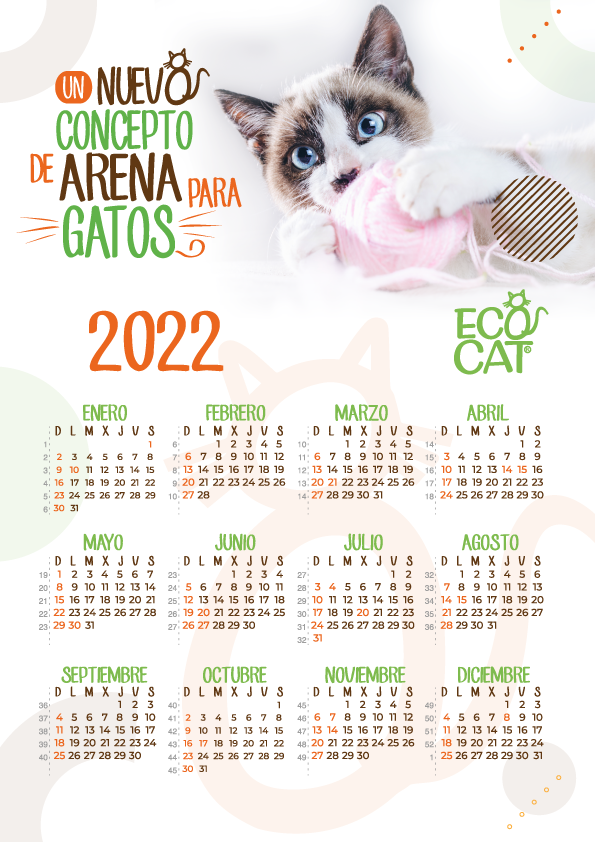 Calendario 2022 arena para gatos