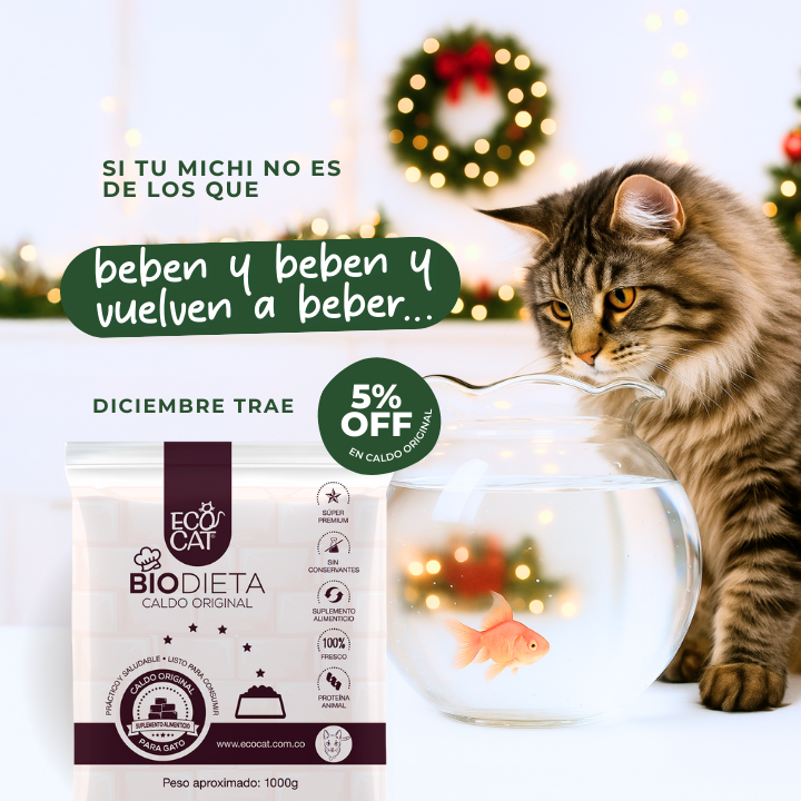 Banner_producto_del_ mes_Caldo_Original